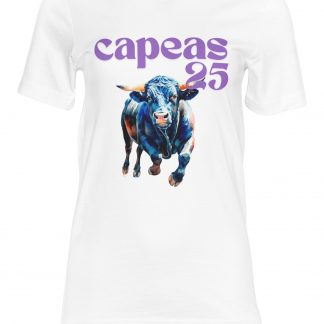 Camiseta Modelo 1