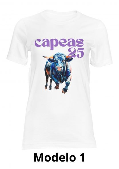 Camiseta Modelo 1
